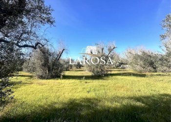 11.jpg - Agricultural land Via Vicinale Mancarella 3, Melendugno - photo 11