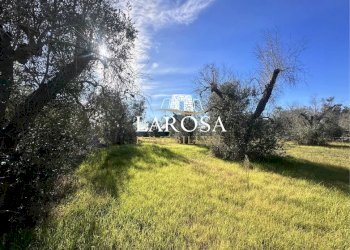 12.jpg - Agricultural land Via Vicinale Mancarella 3, Melendugno - photo 12