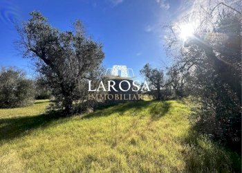 13.jpg - Agricultural land Via Vicinale Mancarella 3, Melendugno - photo 13