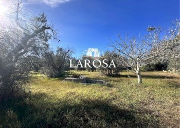 15.jpg - Agricultural land Via Vicinale Mancarella 3, Melendugno - photo 15