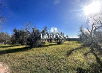 16.jpg - Agricultural land Via Vicinale Mancarella 3, Melendugno - photo 16