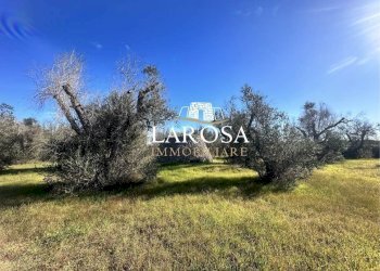 17.jpg - Agricultural land Via Vicinale Mancarella 3, Melendugno - photo 17