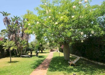 485260ee-98c8-45d1-899a-cc50e3b7b359.jpg - Villa Partinico - foto 14