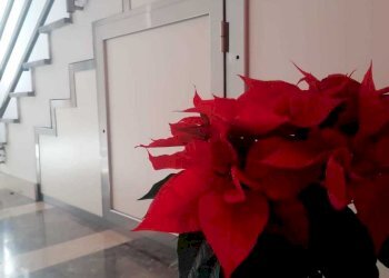 34846c17-fa78-4135-8318-a82735b507a0.jpg - Trilocale Palermo - foto 19