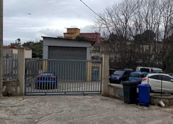 583679c8-69a5-4ada-89ff-0d9c7b37894d.jpg - Non Alimentare Balestrate - foto 4