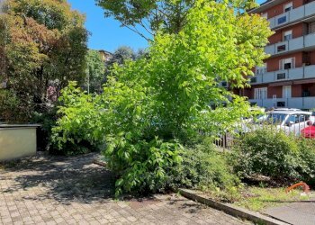 20230515_151951.jpg - Beauty Center - Solarium - Wellness Via Carlo Oreglio 7, Melzo - photo 10