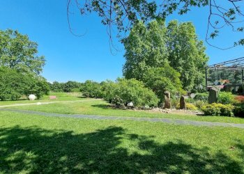 20230515_152125.jpg - Beauty Center - Solarium - Wellness Via Carlo Oreglio 7, Melzo - photo 12