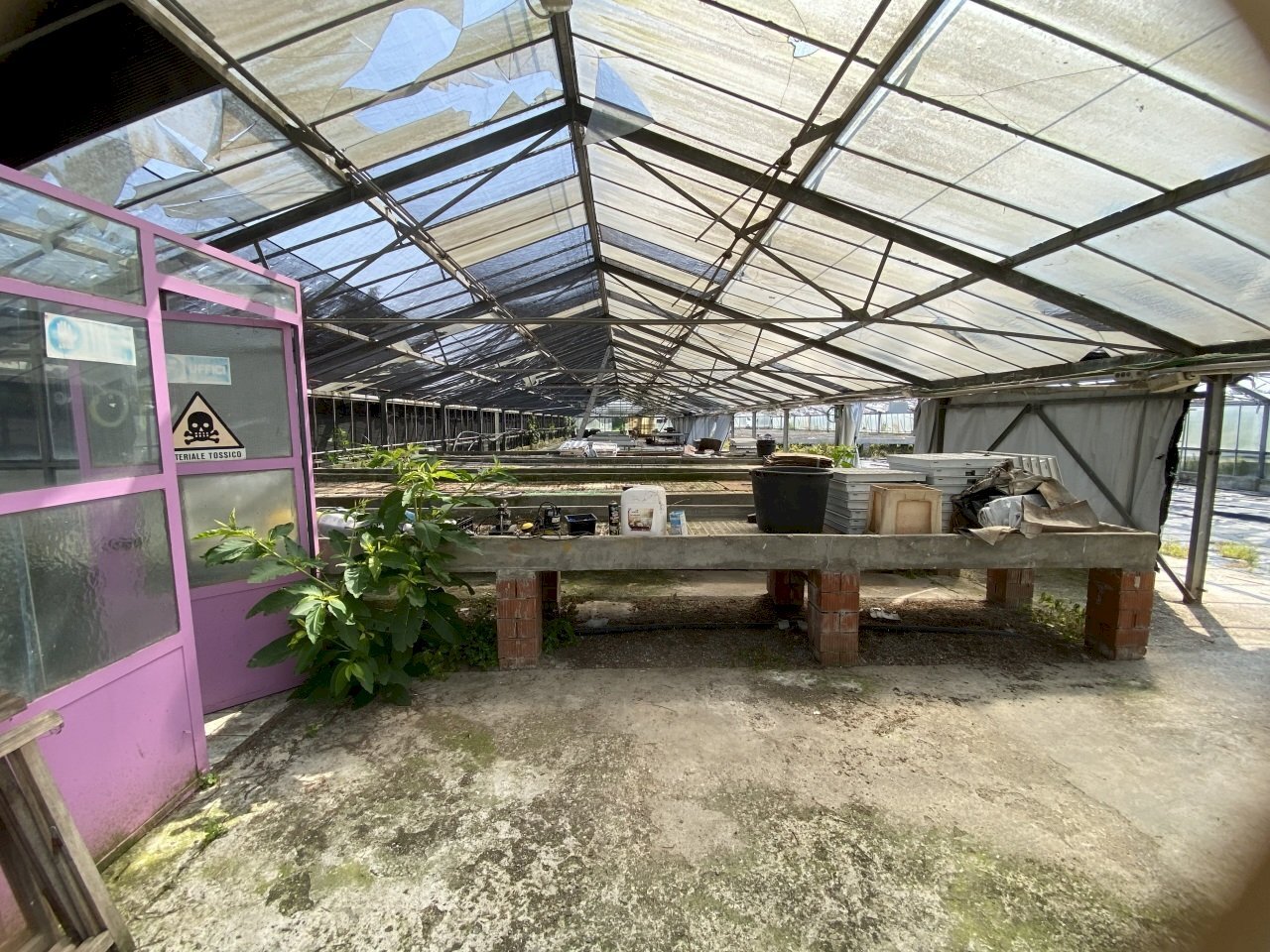 IMG_0080.jpeg - Terreno agricolo VIA CERCA  2, Settala - foto 1