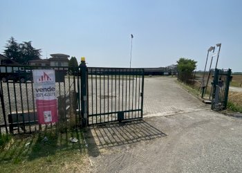 IMG_0070.jpeg - Terreno agricolo VIA CERCA  2, Settala - foto 3