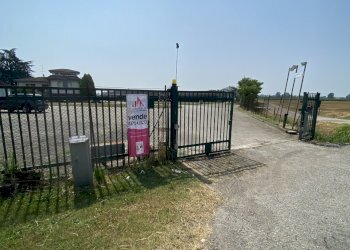 IMG_0071.jpeg - Terreno agricolo VIA CERCA  2, Settala - foto 4