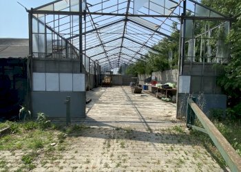 IMG_0078.jpeg - Terreno agricolo VIA CERCA  2, Settala - foto 5