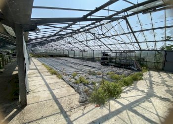 IMG_0082.jpeg - Terreno agricolo VIA CERCA  2, Settala - foto 8