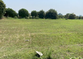 IMG_0094.jpeg - Terreno agricolo VIA CERCA  2, Settala - foto 12