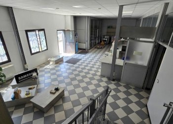 20250624_115112.jpg - Capannone Via Ernesto Rizzi 13S, Melegnano - foto 2