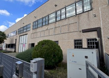 20260312_112930.jpg - Capannone Via Ernesto Rizzi 13S, Melegnano - foto 9