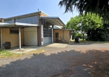 20250613_153005.jpg - Capannone Via Sandro pertini  9, Miradolo Terme - foto 23