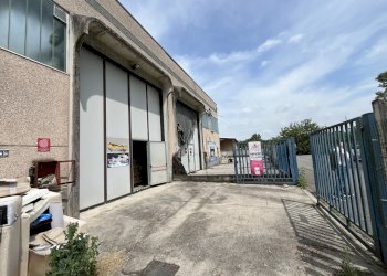 IMG_9253.jpeg - Shed Via Selvagreca  27, Lodi - photo 2