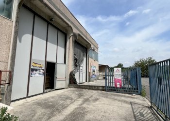 IMG_9254.jpeg - Shed Via Selvagreca  27, Lodi - photo 3