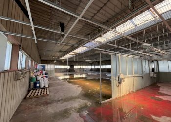 IMG_8897.jpeg - Capannone Via Tortona 21, Vigevano - foto 6