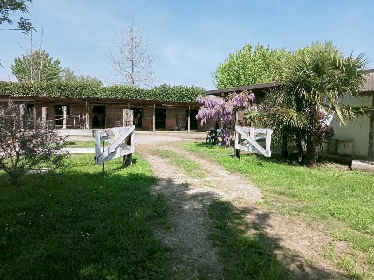 IMG-20250515-WA0009.jpg - Capannone Via Oriolo 3, Castelleone - foto 1