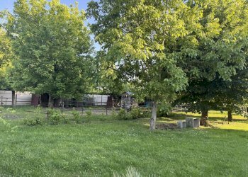 IMG_6353.jpg - Capannone Via Oriolo 3, Castelleone - foto 5