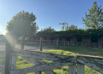 IMG_6357.jpg - Capannone Via Oriolo 3, Castelleone - foto 7