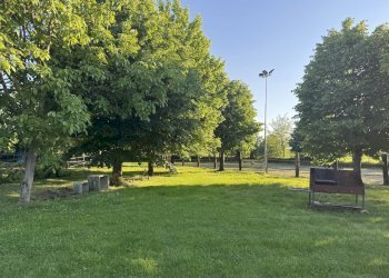 IMG_6354.jpg - Capannone Via Oriolo 3, Castelleone - foto 8