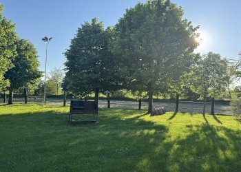 IMG_6355.jpg - Capannone Via Oriolo 3, Castelleone - foto 9