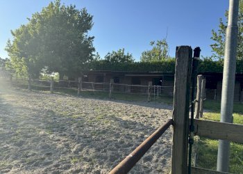 IMG_6358.jpg - Capannone Via Oriolo 3, Castelleone - foto 11