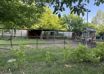 IMG_6360.jpg - Capannone Via Oriolo 3, Castelleone - foto 13