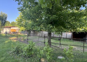 IMG_6361.jpg - Capannone Via Oriolo 3, Castelleone - foto 14