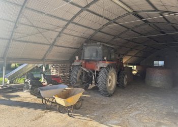 IMG_6364.jpg - Capannone Via Oriolo 3, Castelleone - foto 17