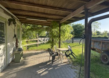 IMG_6366.jpg - Capannone Via Oriolo 3, Castelleone - foto 19