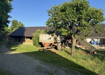 IMG_6369.jpg - Capannone Via Oriolo 3, Castelleone - foto 22