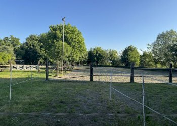 IMG_6371.jpg - Capannone Via Oriolo 3, Castelleone - foto 23