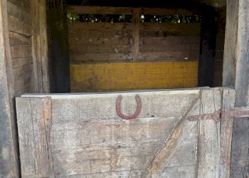 IMG_6372.jpg - Capannone Via Oriolo 3, Castelleone - foto 24