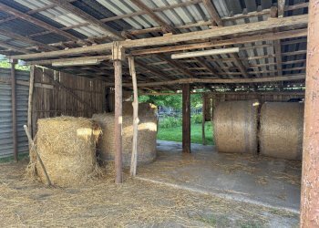 IMG_6373.jpg - Capannone Via Oriolo 3, Castelleone - foto 25