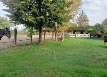 IMG-20250515-WA0006.jpg - Capannone Via Oriolo 3, Castelleone - foto 28