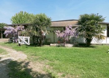 IMG-20250515-WA0010.jpg - Capannone Via Oriolo 3, Castelleone - foto 29