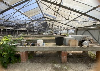 IMG_0081.jpeg - Capannone VIA CERCA  2, Settala - foto 7