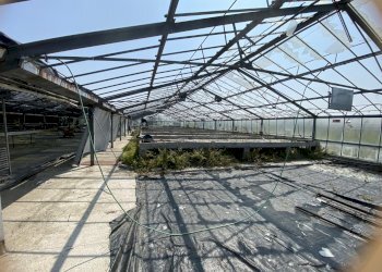 IMG_0085.jpeg - Capannone VIA CERCA  2, Settala - foto 9