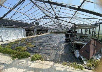 IMG_0084.jpeg - Capannone VIA CERCA  2, Settala - foto 10