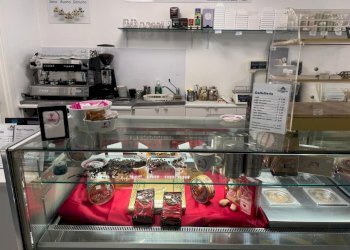 15.jpg - Gelateria Via Leonardo da Vinci 1, Bagnolo Cremasco - foto 3