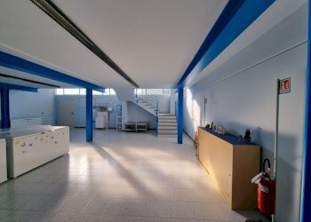 20211207_113537.jpg - Capannone Via Selvagreca O, Lodi - foto 5