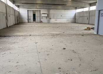 IMG_8787.jpeg - Capannone Strada Provinciale 99 2, Pancarana - foto 8