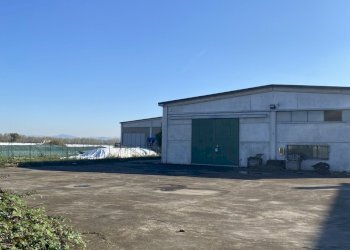 IMG_1021.jpeg - Capannone Strada Provinciale 99 2, Pancarana - foto 3