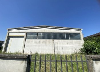 IMG_7810.jpeg - Capannone VIA BRODOLINI 5, Casalpusterlengo - foto 3