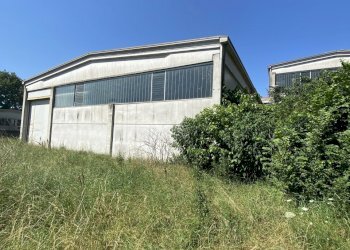 IMG_7809.jpeg - Capannone VIA BRODOLINI 5, Casalpusterlengo - foto 4