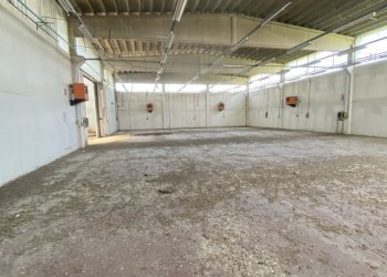 IMG_7811.jpeg - Capannone VIA BRODOLINI 5, Casalpusterlengo - foto 7