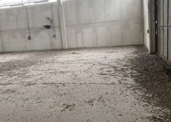 IMG_7431.jpeg - Capannone VIA BRODOLINI 5, Casalpusterlengo - foto 11